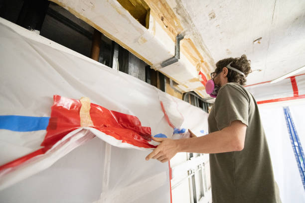 Best Air Quality Testing for Mold Spores  in Paw Paw, MI