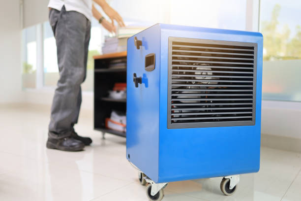 Best Commercial Mold Inspection  in Paw Paw, MI